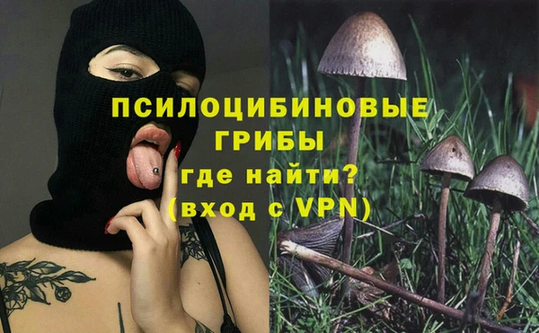 спайс Абаза